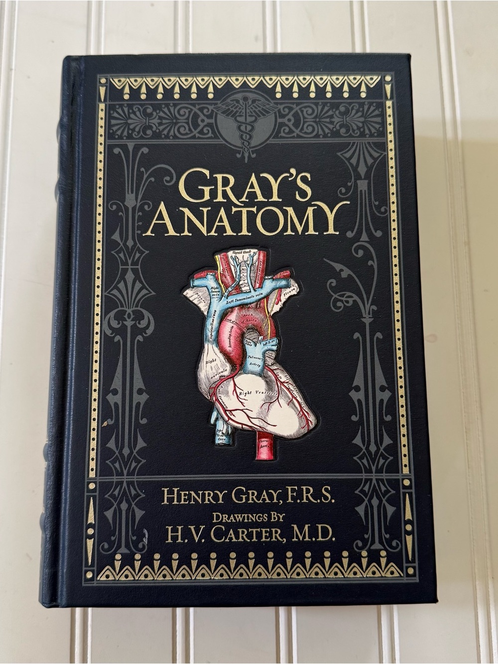 Gray's Anatomy by Henry Gray, F.R.S. drawings by H.V. Carter, M.D. leather-bound